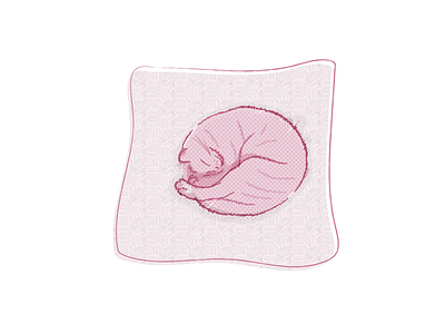 Sleeping Kitty canada cat doiron flat illustration jeremie doiron moncton