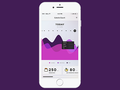 Calorie Counter App iphone mobile ui ux