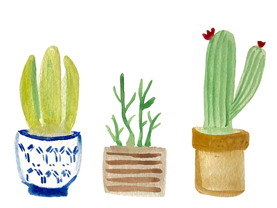 Succulents cacti cactus green nature plant plants succulent succulents watercolor