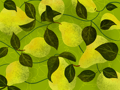 Pears digital digital art fruit fruit illustration illustration illustration art leaf leaves pear pears procreate veggies