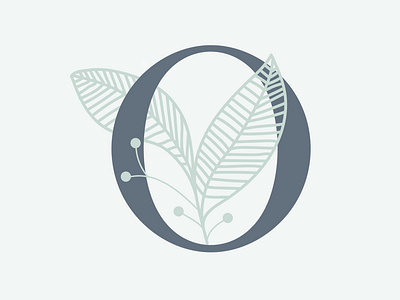 O 36daysoftype 36daysoftype o app design fern holly icon illustration leaf leaves letter lettering logo typography ui vine