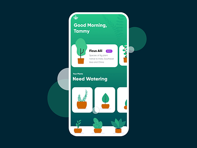 unDraw x Adobe XD: Plants adobexd app design illustration indoor plants interface leaves mobile mobile ui plants prototype tracking ui undraw user interface userinterface