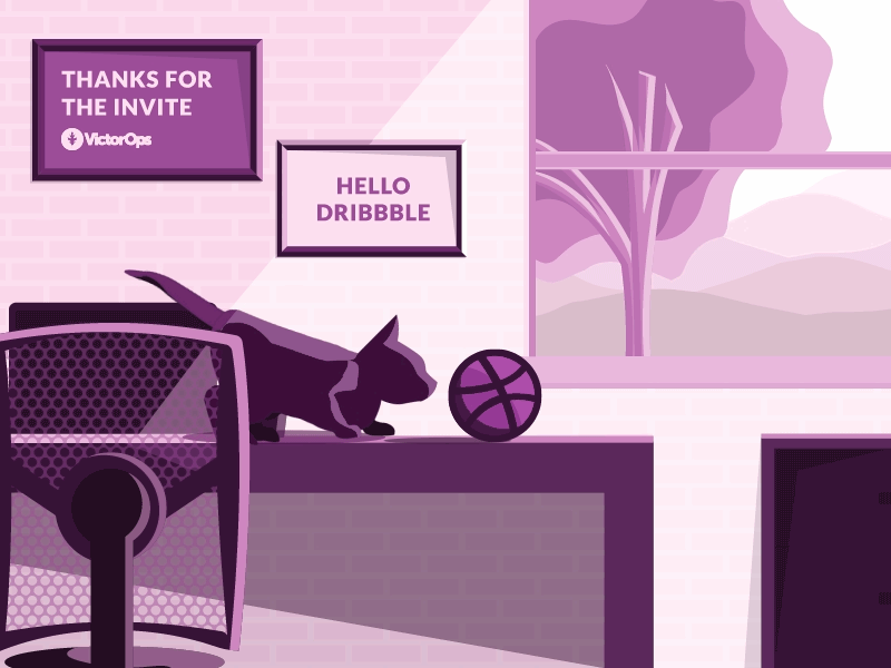 Dribbble Debut adobe illustrator animation cat debut dribbble debut gif illustration purple rachel stern