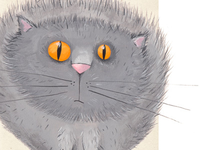 Fluffy acrylic cat digital illustration pencil