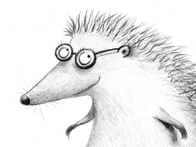 Izzy the hedgehog pencil hedgehog childrens illustration picture book character sketchbook