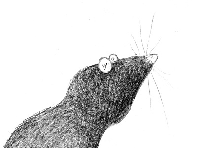 Conrad the mole character childrens illustration mole pencil picture book sketchbook
