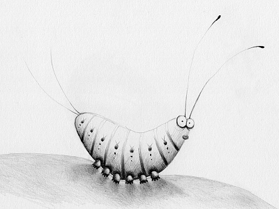 Shrimp! childrens illustration pencil picture book sea shrimp sketchbook