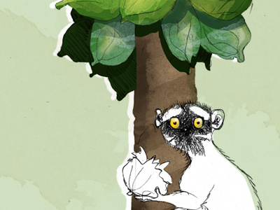Lemur Love coconuts digital green lemur madagascar palm sketch