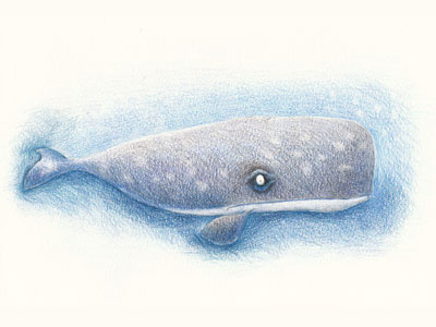 Violet illustration loud ocean pencils sketchbook unhappy whale