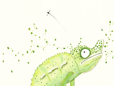 Chameleon acrylic chameleon fly illustration points