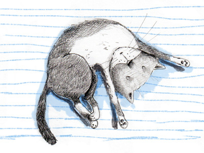 Sleeping position no. 1 cat digital illustration pencil sleeping