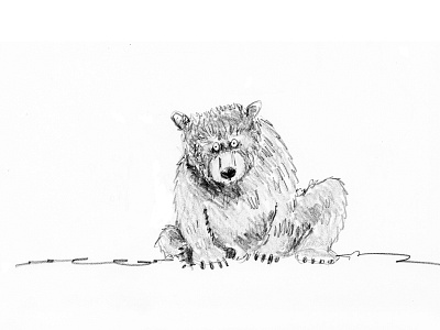 Balu bear illustration pencil sketch