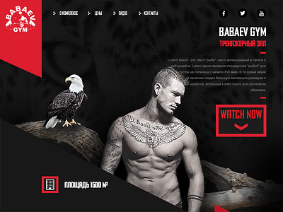 BABAEV GYM (concept) web