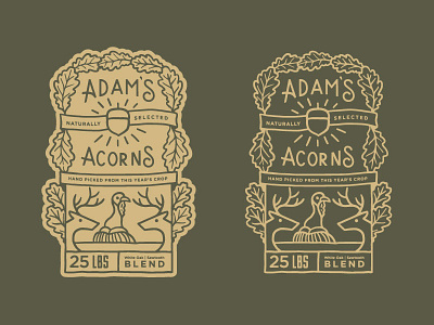 Adam's Acorns | Label WIP acorn adam antler branding deer illustration label
