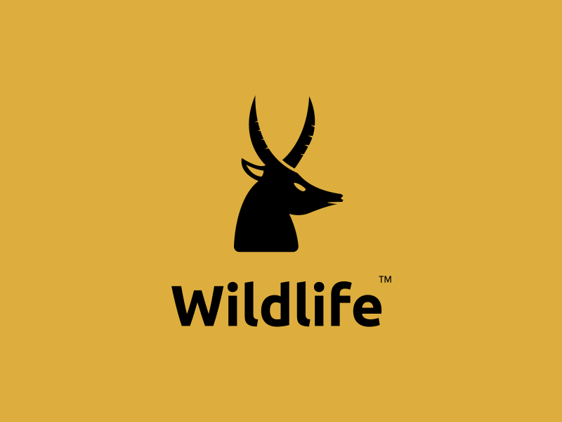 Deer antlers symbol design. good template for World wildlife day design  Stock Vector Image & Art - Alamy