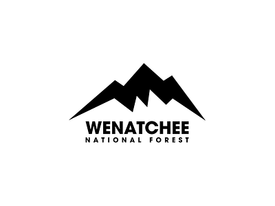 Wenatchee National Forest Logo challenge illustration logo mark minimal moutain national forest thirtylogos wenatchee