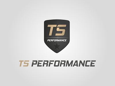 Ts Performance Logo logo performance