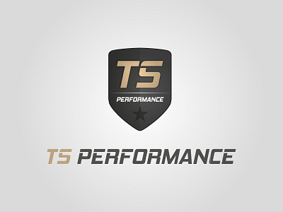 Ts Performance Logo