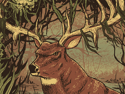 Buck buck deer illustration outdoors south swamp