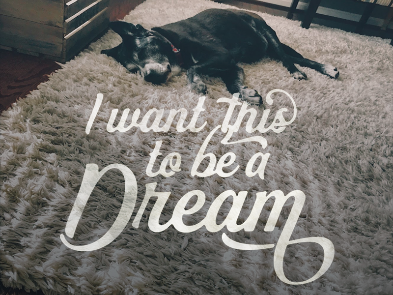 I want this to be a dream sad puppy dog script typography type hand drawn type handlettering