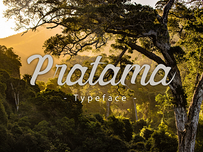 Pratama Typeface (Font) app branding design display font font design fonts graphic icon lettering logo modern pattern symbol typeface typography ui ux vector web