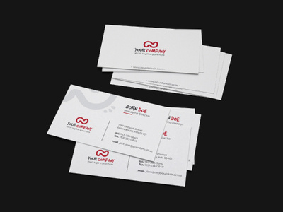 Simple Professional Business Card 02