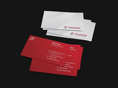 Simple Professional Business Card 03