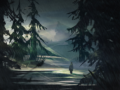 Rainy forest