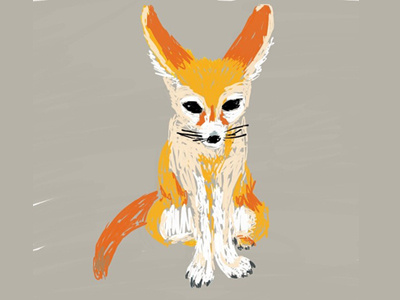 Fennec Fox Zoodle Dribble animal fox illustration sketch zoo