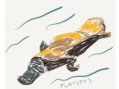 Platypus Zoodle Dribble