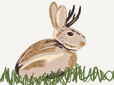 Jackalope Zoodle animal illustration jackalope rabbit