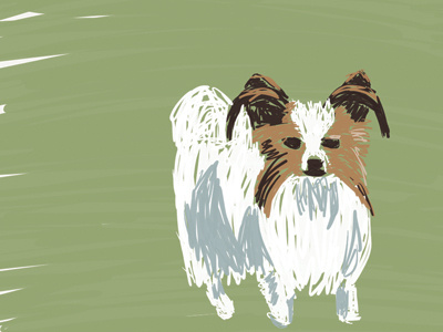 Papillon Zoodle animal dog illustration papillon sketch