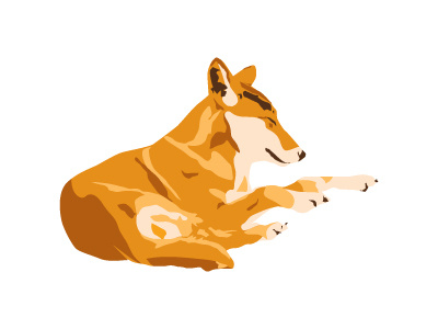 Dingo Zoodle animal dingo drawing illustration vector