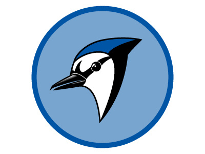 Blue Jay Mascot bird blue jay jay jaybird logo mascot