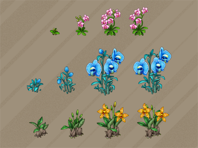 Orchid items