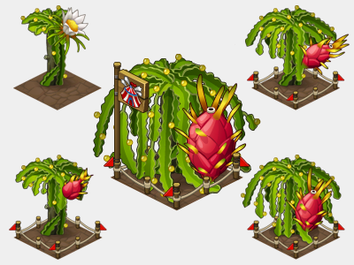 Dragon fruit crops for Oasis: the last hope game anna ivanova art concept crops dragon fruit game item levels oasis: the last hope oscolcov nikita plant pykodelbi