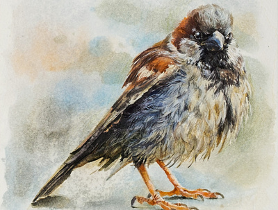 Cute Sparrow watercolor illustration animal art animal illustration art bird bird illustration cute cute animal cute art cute illustration gouache illustraion painting sparrow traditional art watercolor watercolor art watercolor illustration watercolor painting watercolors watercolour
