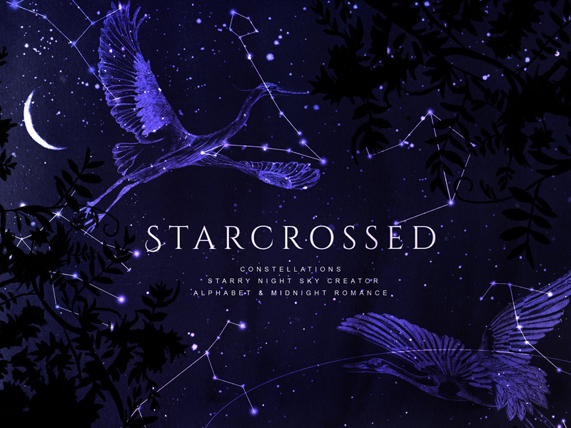 Starcrossed Night Sky Art More By Graphic Assets On Dribbble