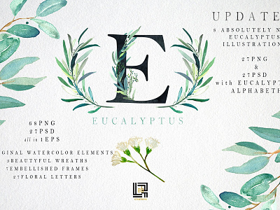 Eucalyptus. Watercolor clipart. clipart eucalyptus eucalyptus branch flower clipart graphic assets green branches illustration logo brand watercolor leaves watercolor texture wedding clipart white flowers