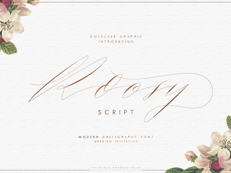 GL Roosy Script by Graphic Assets on Dribbble