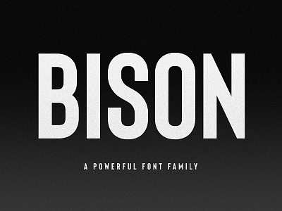 (NEW) Bison - A Powerful Sans Serif bold branding display font font family foreign font italic logo logotype modern powerful sans serif