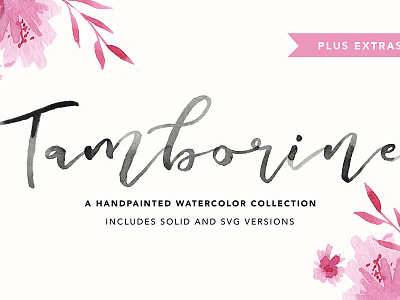 Tamborine SVG + Solid Font branding chic elegant floral modern pretty script stylish svg svg font watercolor wedding