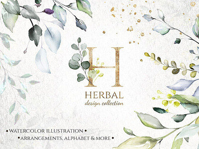 Watercolor leaves & herbs art background botanical bouquet eucalyptus floral flowers flowers illustration foliage garden graphic assets herbal herbs illustration leaves vector watercolor watercolor clipart watercolor leaves wreath