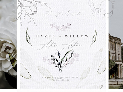 Hazel - Artisan Flowers & Watercolor artisan artisan flowers autumn design elegant fall floral flowers graphic assets illustration illustrations logo modern vector watercolor watercolor backgrounds watercolor bundle watercolor clipart watercolor flowers wedding