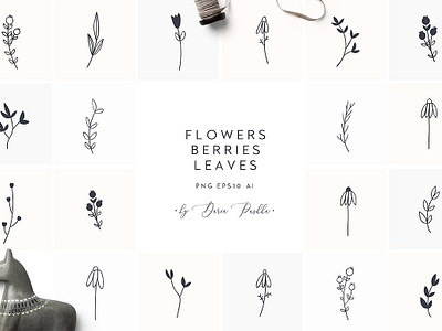 Download Free Premium Download 110 Floral Elements By Graphic Assets On Dribbble