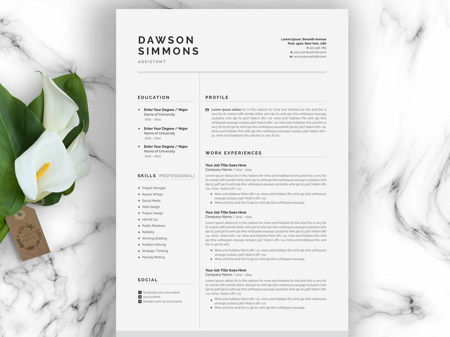 resume template 3 page