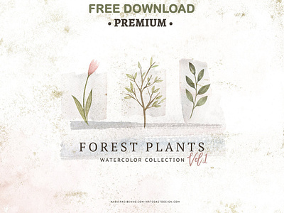 Free Premium Download - Watercolor Forest Plants bouquets clipart floral flower forest forest plants frames illustration plants seamless patterns watercolor watercolor backgrounds watercolor clipart watercolor design watercolor floral watercolor flowers watercolor forest plants watercolor forests watercolor plants wreath