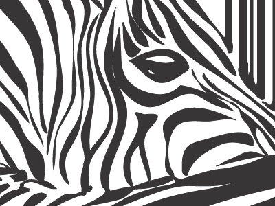 Zebra black illustration white zebra