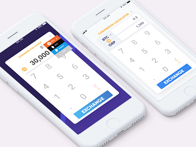 Exploring Cryptocurrency Calculator Conversion UI