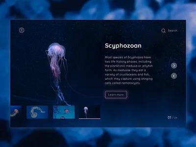 Page Design for Undersea Animals Catalog design desktop gallery interface landing minimal page shot simple typography ui ux web